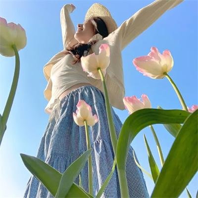 一个城市的决定